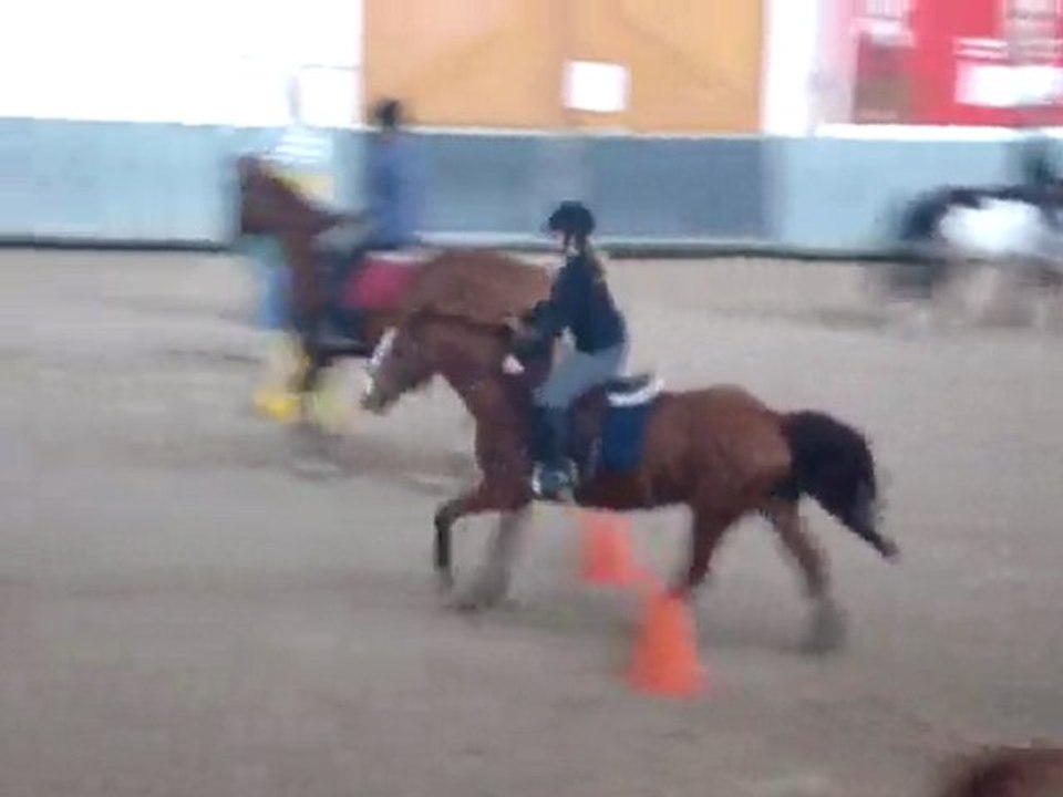 Stage du 28 Decembre 2009 : Biork du Cer