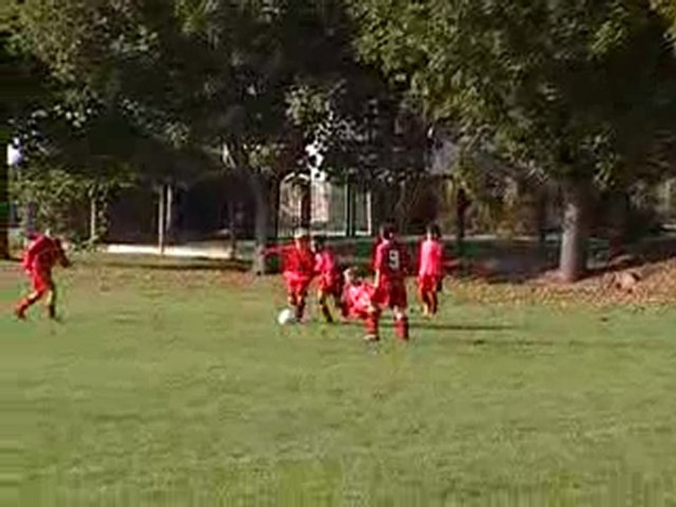 Poussins de l'ASVA 2007-2008