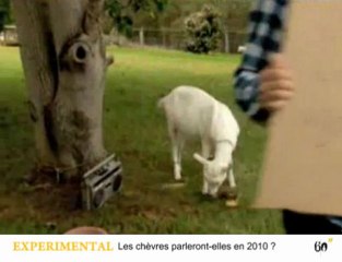 Purification, Déception et Alphabétisation face à la Crise Planétaire