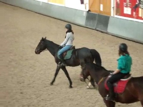 Katlosh & Mulan : Reprise de Dressage Galop 4