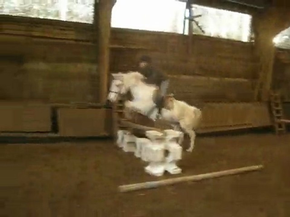 California & moi - séance de saut - 30 décembre 2009