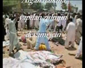 TARAf Gazetesi (her TARAF BOK kokuyor)