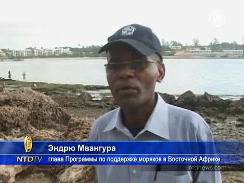 Сомалийские пираты продолжают разбойничать