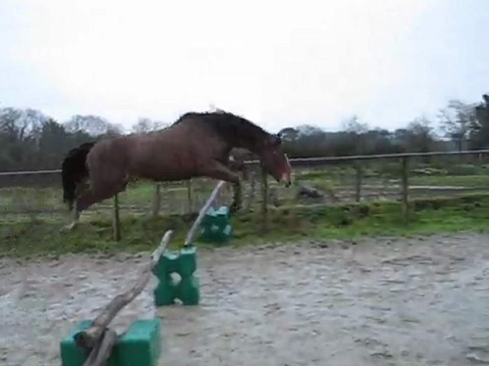 free jump