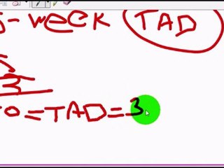 Free Article Marketing Submission Traffic Analytics - UnTold