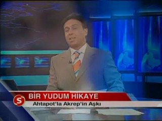 Asım Yıldırım - AHTAPOT'LA AKREP'İN AŞKI (Bir Yudum Hikaye)