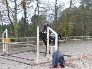 Last Pride - cours de saut