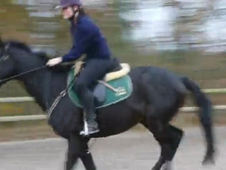 Last Pride - cours de saut