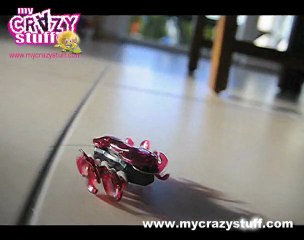 Hexbug Ant - Mycrazystuff.com