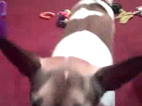 Max Throws Away Trash and Catches Toys