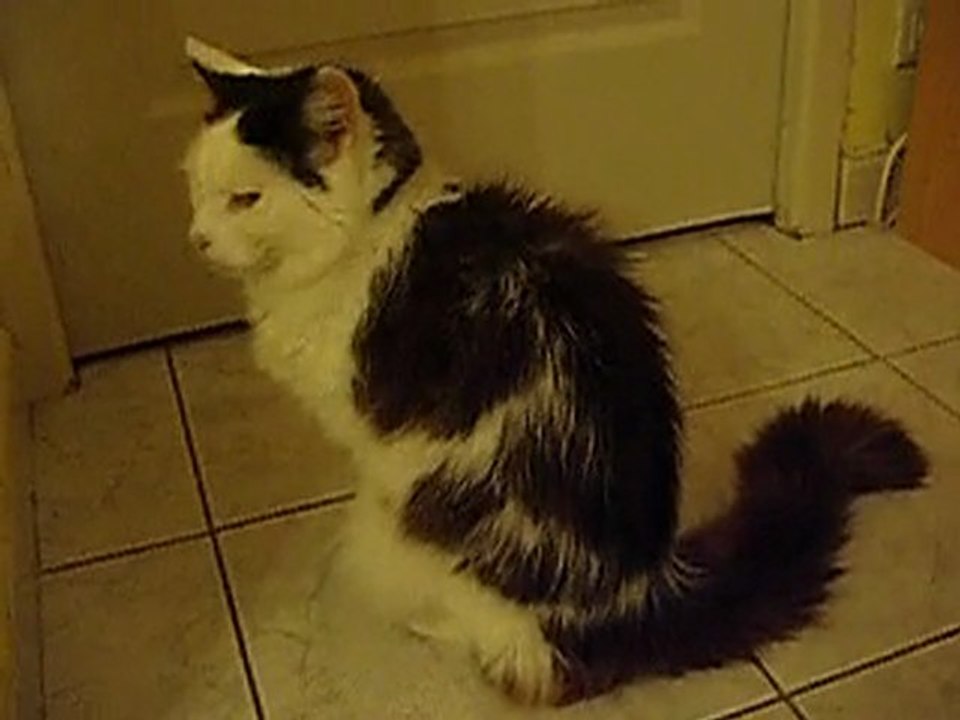 P1010023