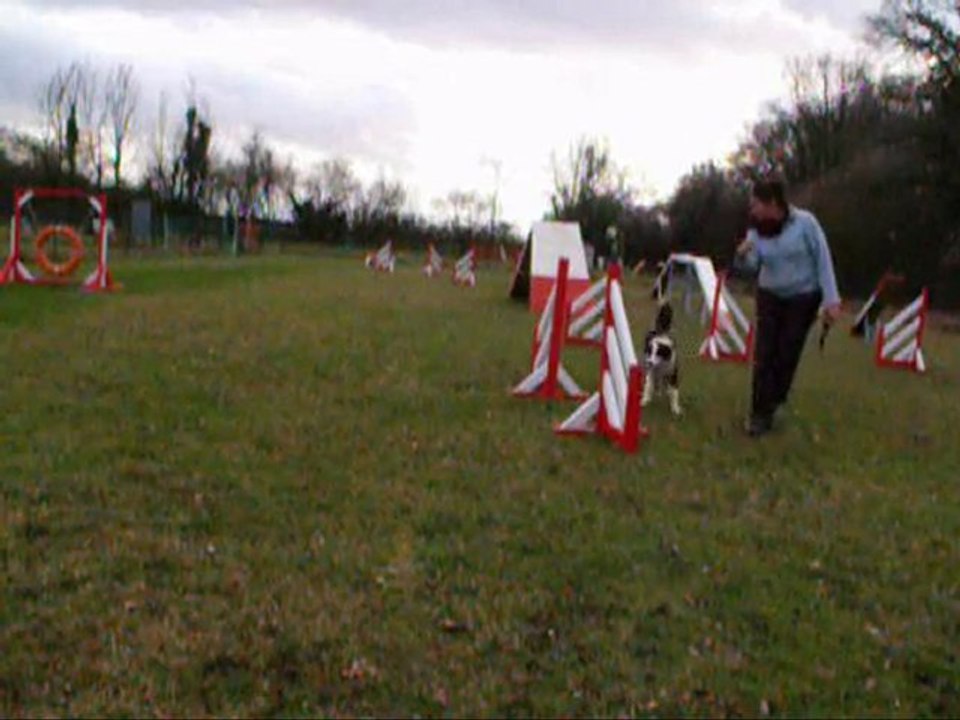 Nity, 11 mois, entrainement agility décembre09