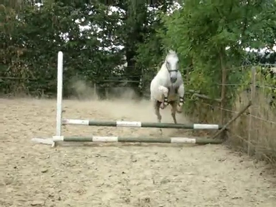 Mon loulou au top du top