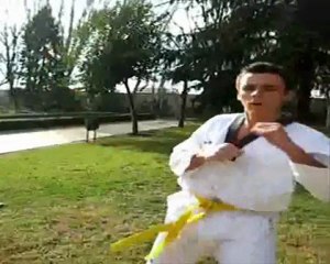 Recopilación desde mis inicios