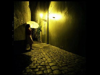 sokak kedisi -Nilufer