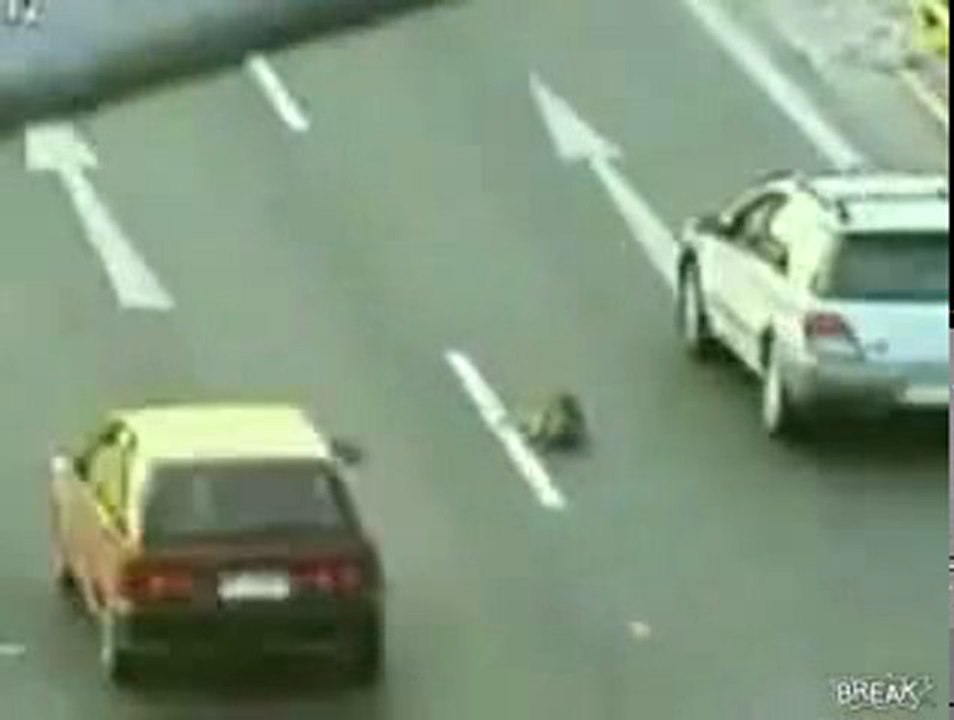 Otoyoldaki Bir köpeğin İnsanlığa Verdiği Ders ..!