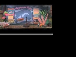 Mango Smoothie a Trained Fish does the Amazing Triple Hoop