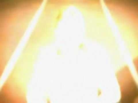 Shock Absorber - running bra and spikes