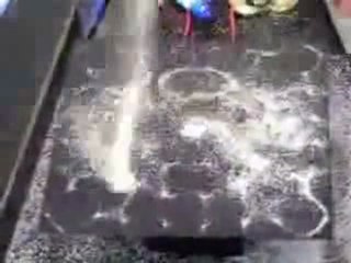 Toz Şekerin Sese Karşı Verdiği Tepki