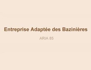 Entreprise adaptée ARIA 85