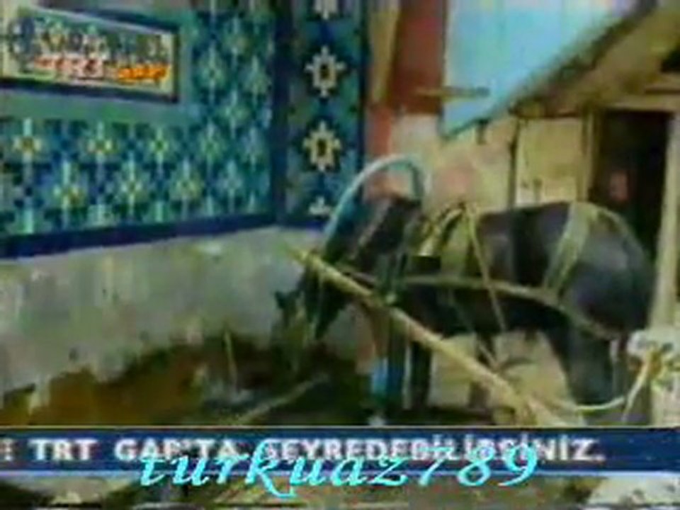 Mustafa YILDIZDOĞAN-Bizim Memleket