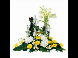 La valse des petits chiens de Marie Laforet