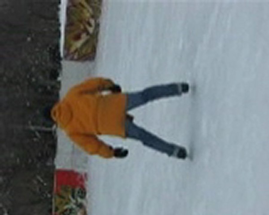tonton Alain patine en arrière au Parc Lafontaine