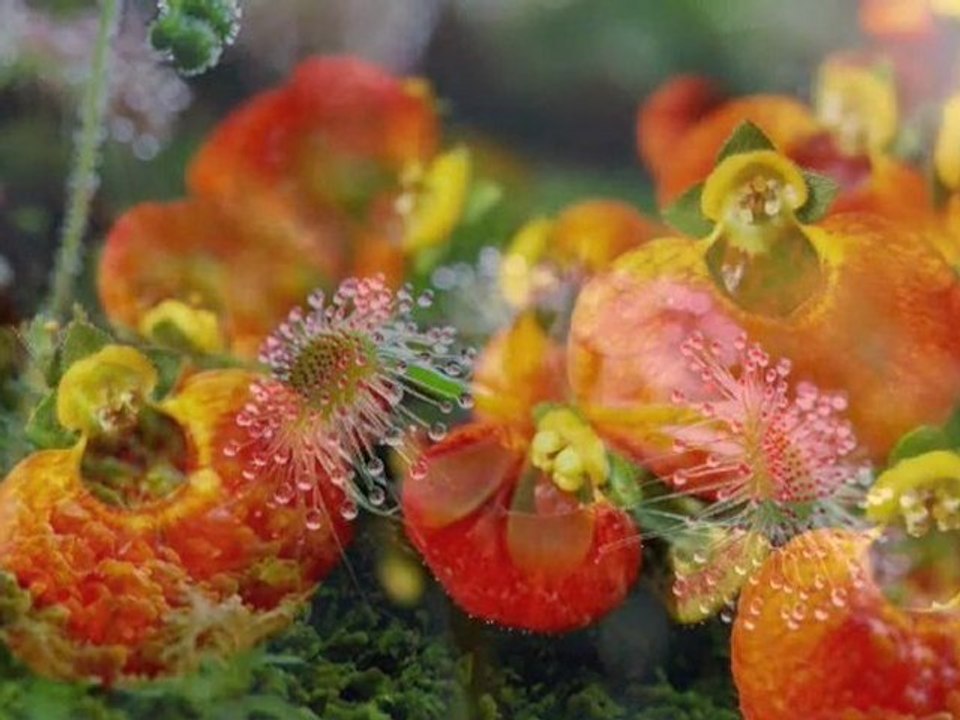 Mieux se préparer à la chirurgie