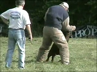 Tigger des Rotts de la Baronnie entraînement mondioring
