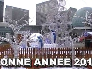 BONNE ANNEE 2010