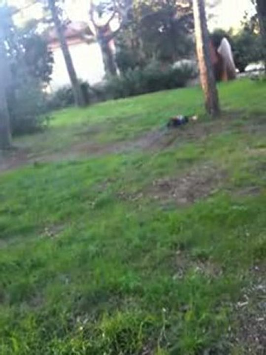 trophy truggy 4.6 toto saut