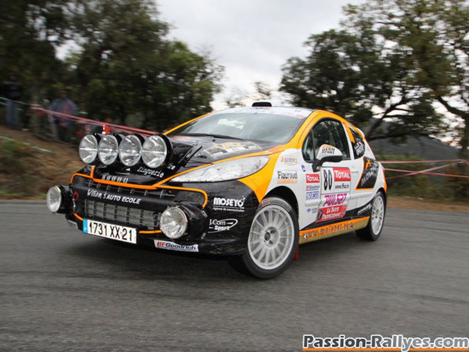 Best-of des rallyes 2009