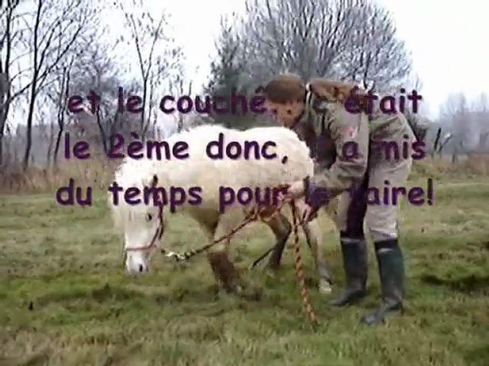 journée du 31 décembre 2009