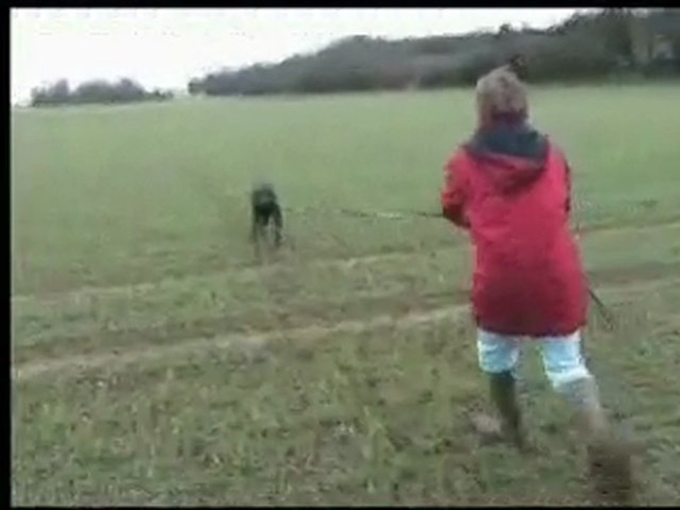 daika du bois de liers entrainement pistage 21 mois