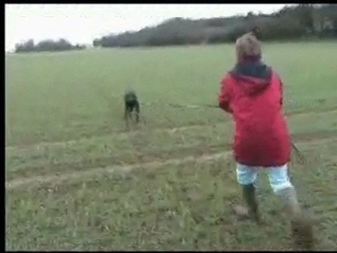 daika du bois de liers entrainement pistage 21 mois