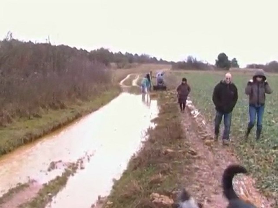 Balade ton chien à Metz à la Saint Nicolas (décembre 2009)
