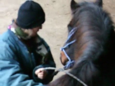 Lulu et moi en éthologie partie 2