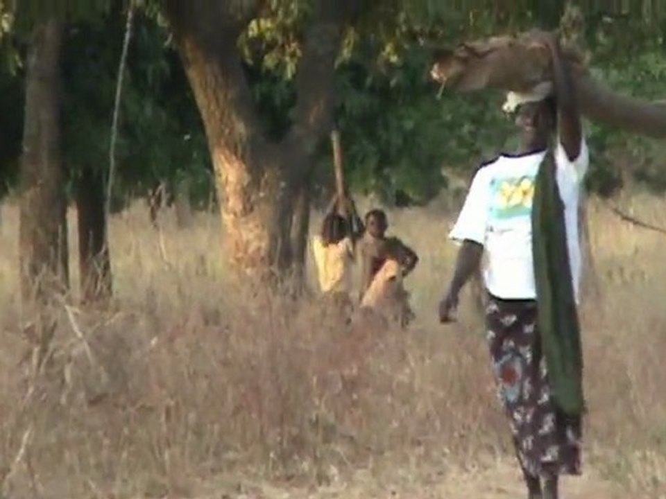 Notre ferme pédagogique - Chez les Paysans du Burkina Faso