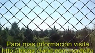 Mira este video antes de comprar una casa en Nordelta