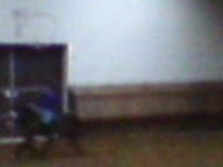 Mono & Panpan en saut