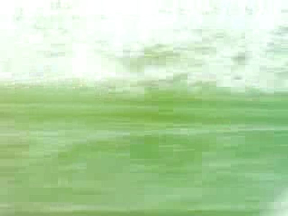 Tempete