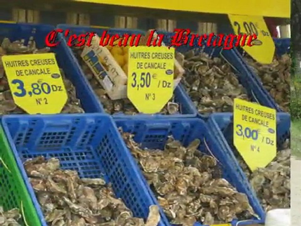 Rétrospective Marmot'Gold 2009