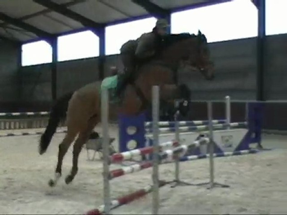 jument bai par conan