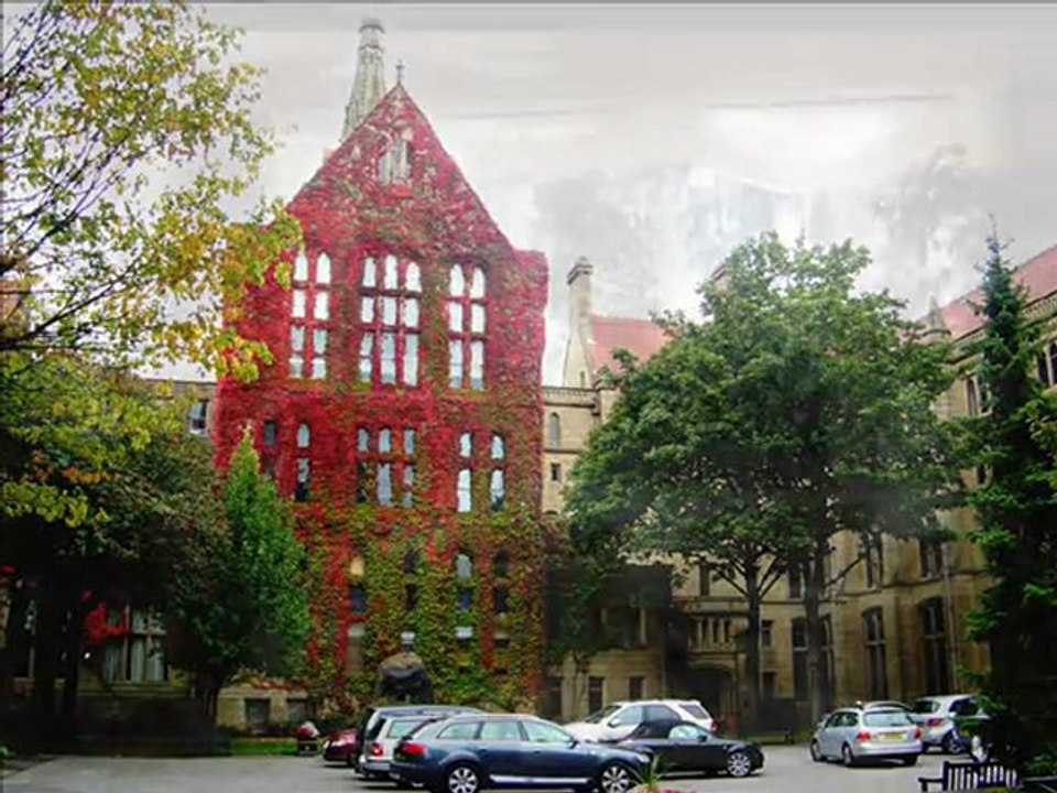 Dolce Vita by Lucky Optimist