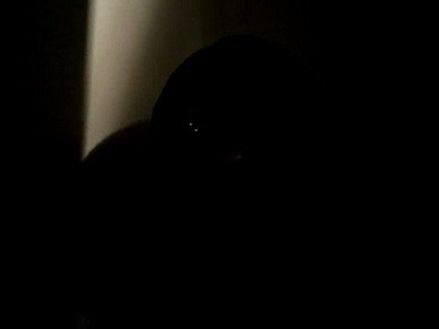 Homeless Not Helpless: Expectations