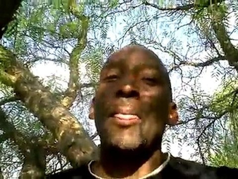 Homeless Not Helpless: Up In A Tree - Why Not?