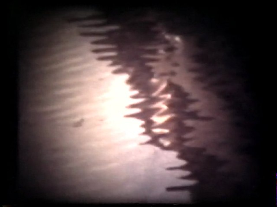 Conrad Schnitzler: Collection A #11 Natürlich