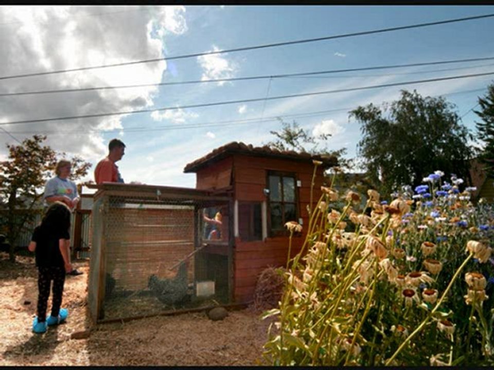 Choosing Chicken Coop Kits