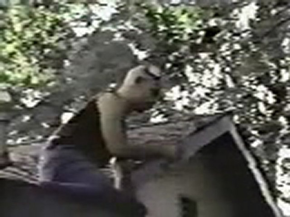 AL TV Sky High Skull Plate