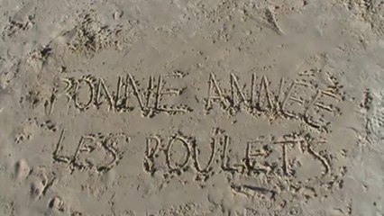 Bonne année les poulets